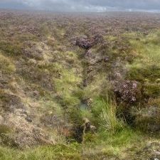 IMG_1911