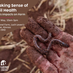 Making-Sense-of-Soil-health-768x644