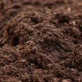 ss_topsoil-mound
