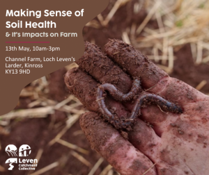 Making-Sense-of-Soil-health-768x644