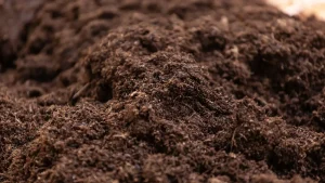 ss_topsoil-mound