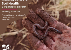 Making-Sense-of-Soil-health-768x644
