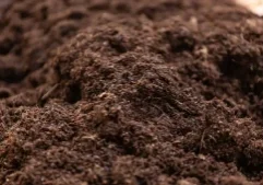 ss_topsoil-mound